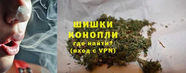 стафф Михайловск