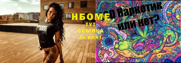 стафф Михайловск