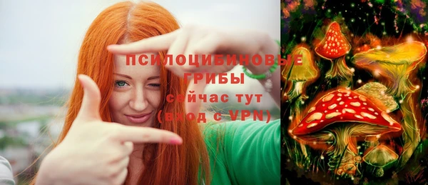 тгк Надым