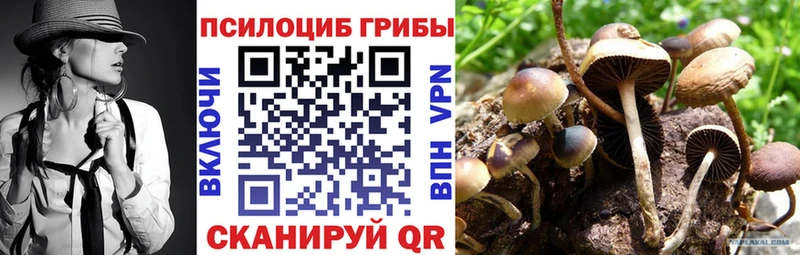 Псилоцибиновые грибы Psilocybe  Евпатория 
